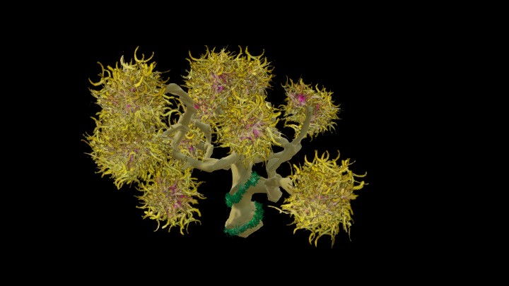 UE项目资源_模型资源_树2090