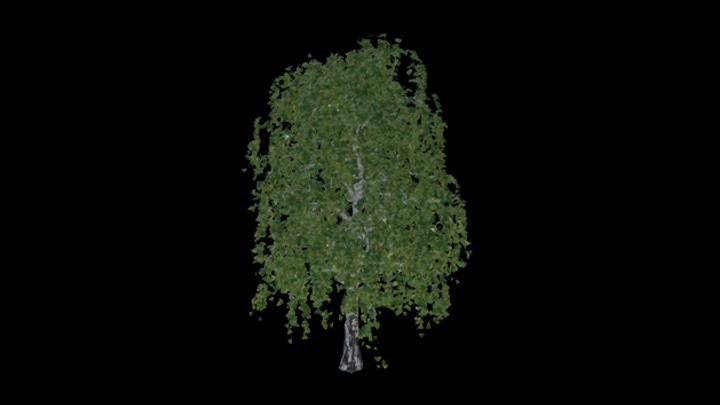 UE项目资源_模型资源_树2133