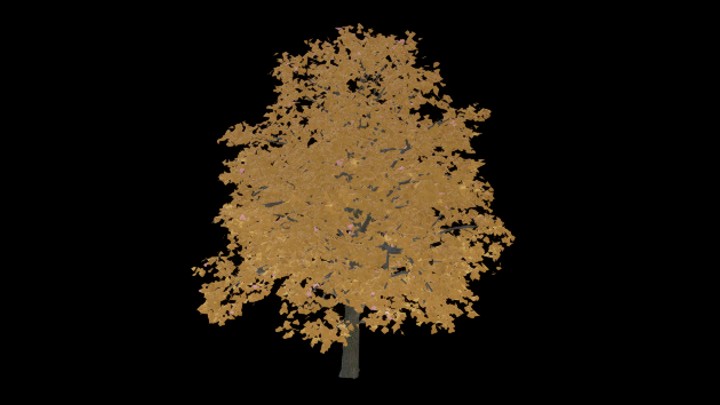 UE项目资源_模型资源_树2148