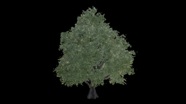 UE项目资源_模型资源_树2210