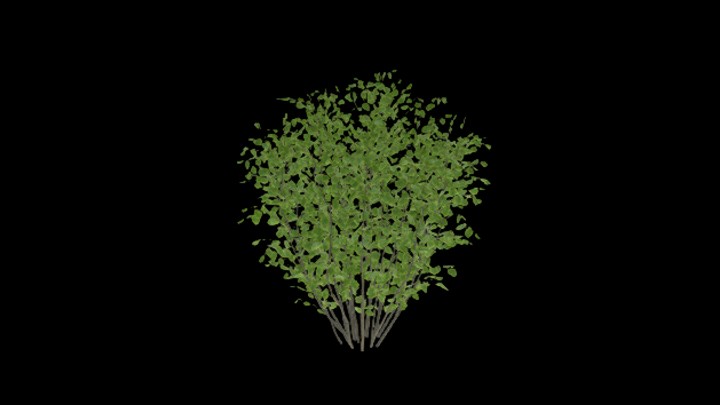 UE项目资源_模型资源_树2232