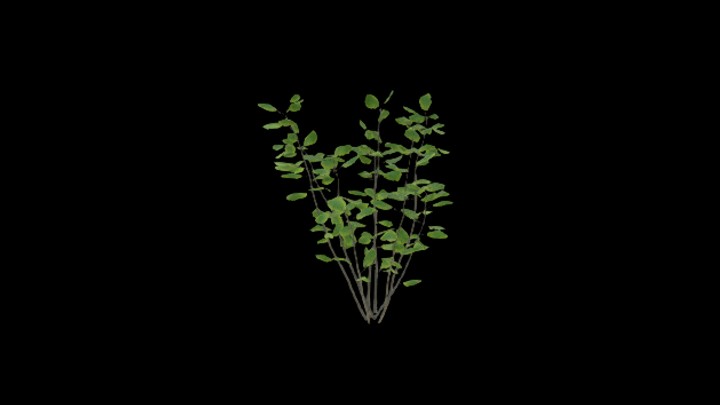 UE项目资源_模型资源_树2235