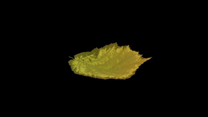 UE项目资源_模型资源_树叶175