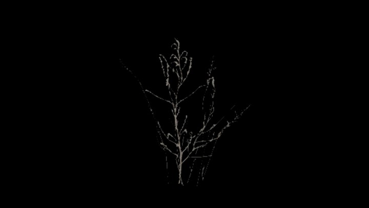 UE项目资源_模型资源_树子003