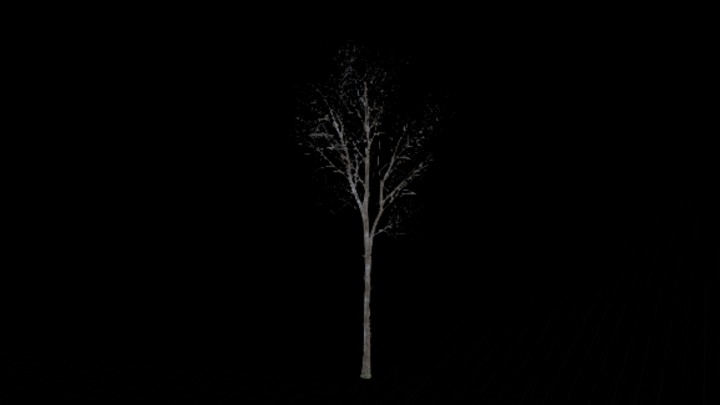 UE项目资源_模型资源_树子005