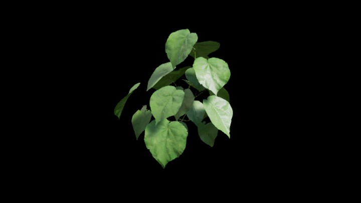 UE项目资源_模型资源_植物2064