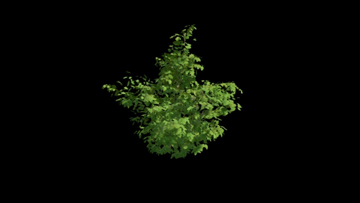 UE项目资源_模型资源_植物2066