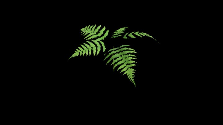 UE项目资源_模型资源_植物2089