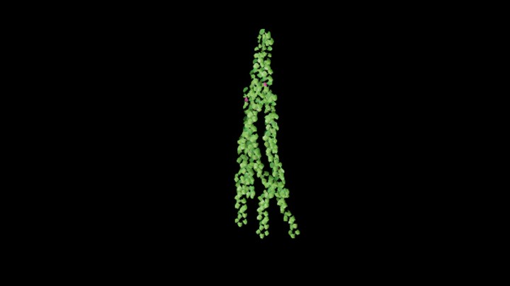 UE项目资源_模型资源_植物2094