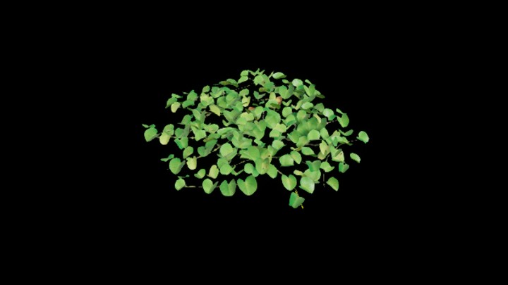 UE项目资源_模型资源_植物2098