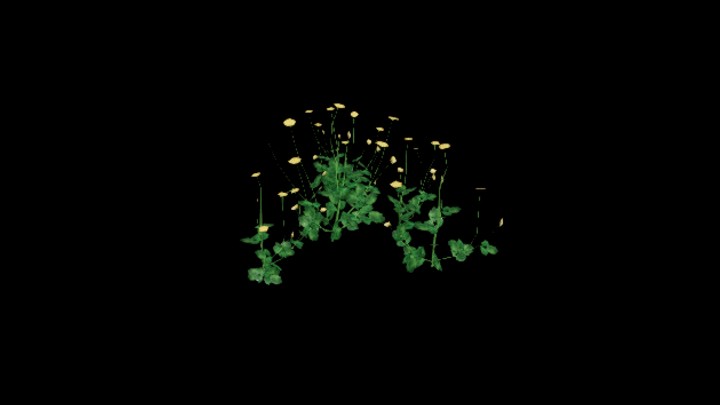 UE项目资源_模型资源_植物2103