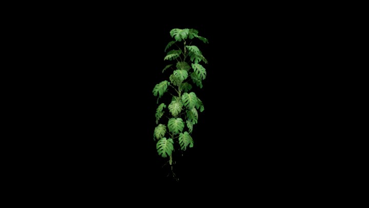 UE项目资源_模型资源_植物2109