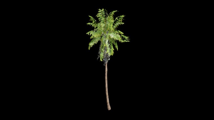 UE项目资源_模型资源_植物2120