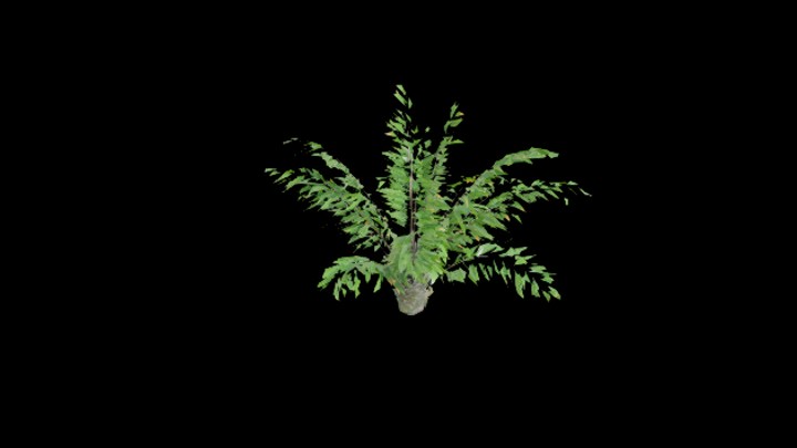 UE项目资源_模型资源_植物2139