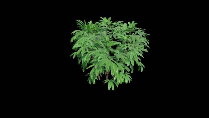 UE项目资源_模型资源_植物2147