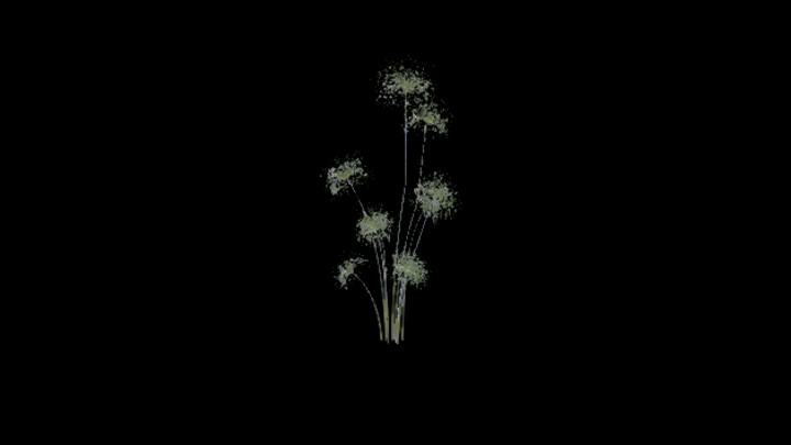 UE项目资源_模型资源_植物2165