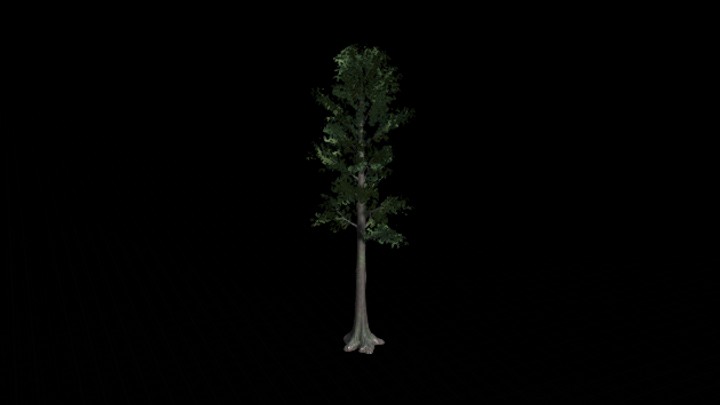 UE项目资源_模型资源_植物2190