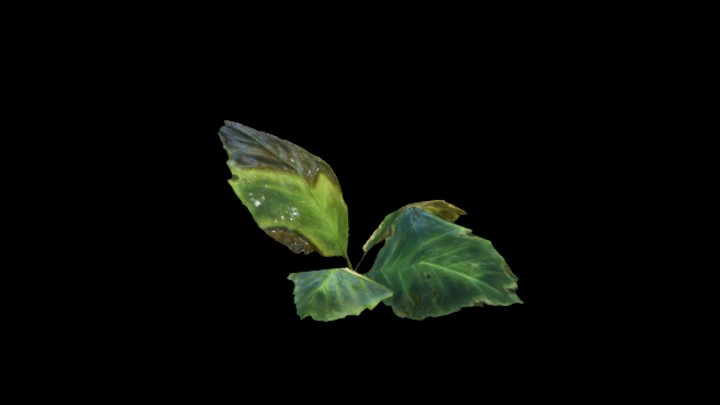 UE项目资源_模型资源_植被012