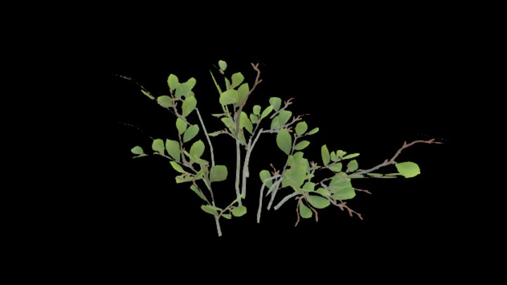 UE项目资源_模型资源_灌木188