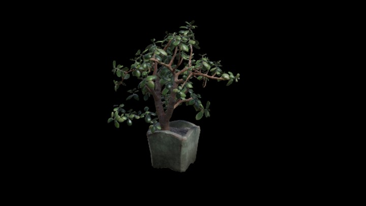 UE项目资源_模型资源_盆栽273