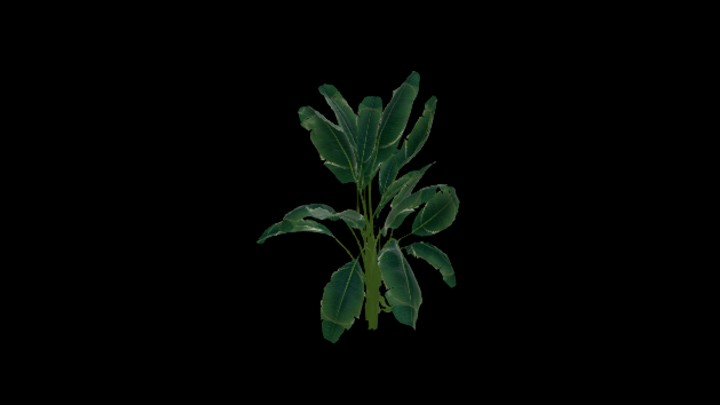 UE项目资源_模型资源_盆栽278