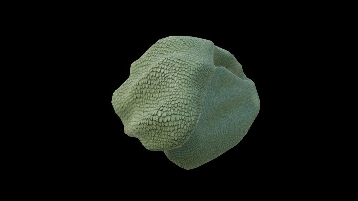 UE项目资源_模型资源_石头2343