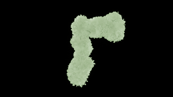 UE项目资源_模型资源_绿化装饰003