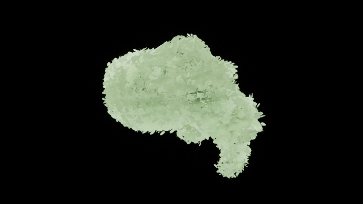 UE项目资源_模型资源_绿化装饰005