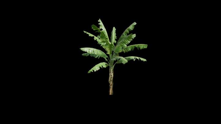 UE项目资源_模型资源_芭蕉树006