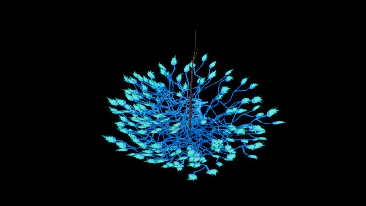 UE项目资源_模型资源_花1040