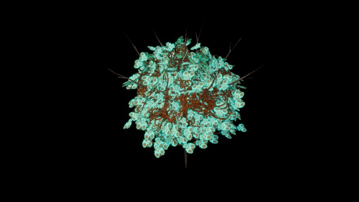 UE项目资源_模型资源_花1042