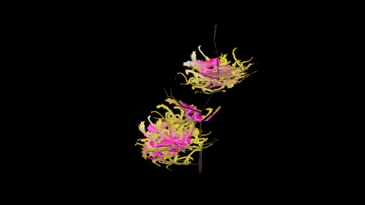 UE项目资源_模型资源_花1043