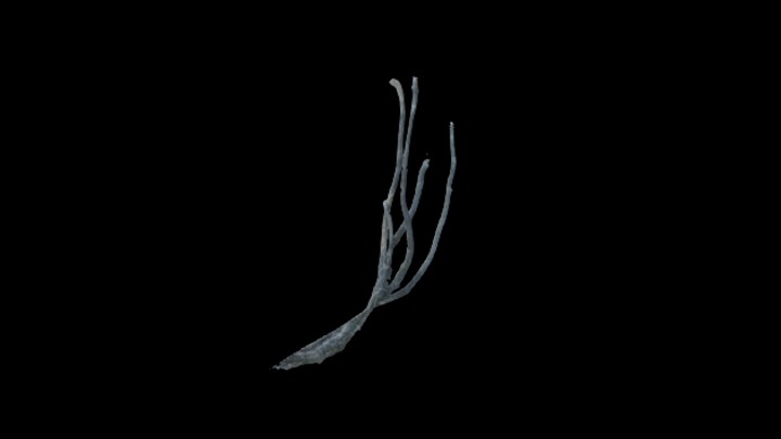 UE项目资源_模型资源_草3146