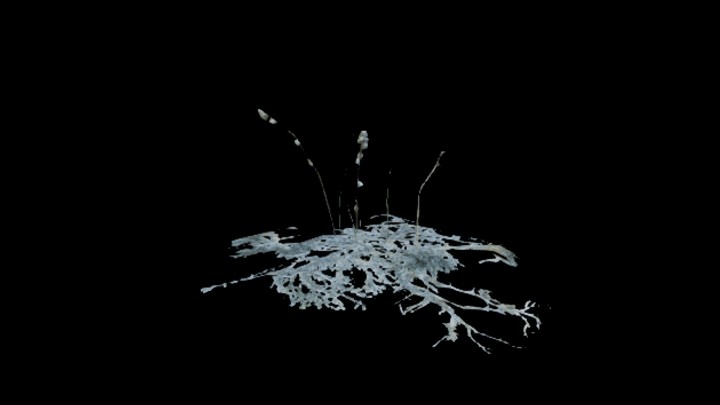 UE项目资源_模型资源_草3180