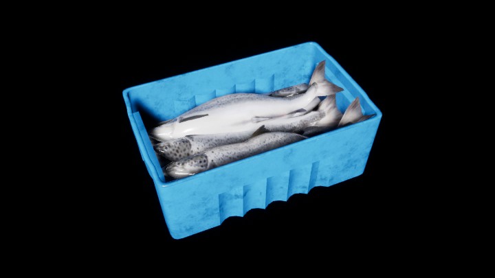 UE项目资源_模型资源_鱼箱006